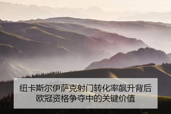 纽卡斯尔伊萨克射门转化率飙升背后 欧冠资格争夺中的关键价值