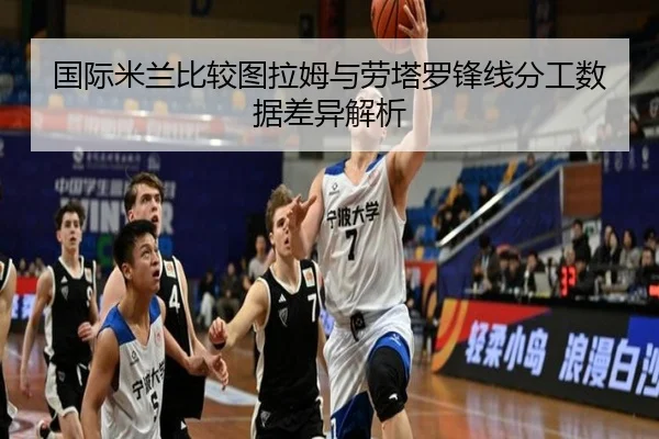 国际米兰比较图拉姆与劳塔罗锋线分工数据差异解析